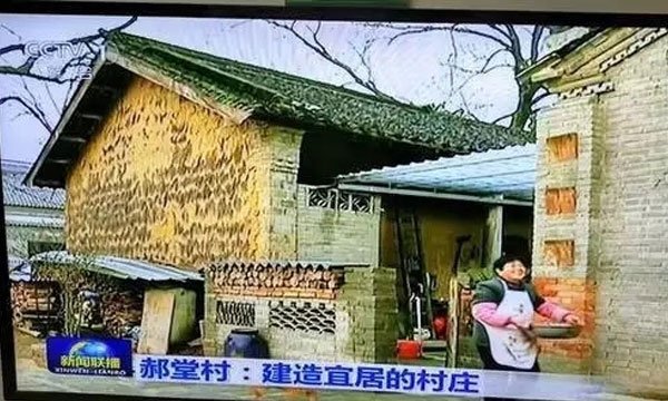 新闻联播里的郝堂村。图源网络